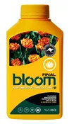 Bloom Final