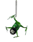 Bouncy Frog