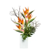 Bird of Paradise Mix