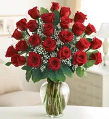 2 Dozen Roses Premium