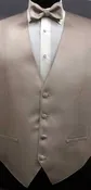 Biscotti Simply Solid Vest