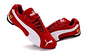 Puma 2