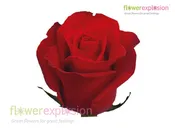3 Foot Red Rose