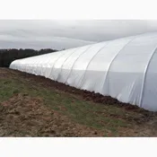 6 Mil White Overwintering Film