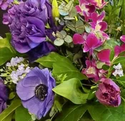 Designer's Choice Purple