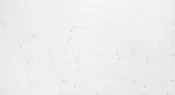 Bianco Venato Quartz Countertop