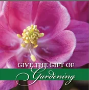 Gift Certificate