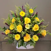 CPD-Sympathy Yellow Mix