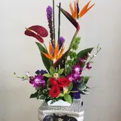 Tropical Arrangement WV-012