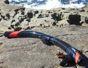 Atomic Aquatics Snorkel