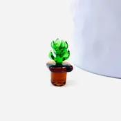 Lucky Little Glass House Plant