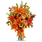 AUTUMN SURPRISE