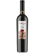 2021 Aglianico
