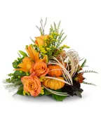 ABUNDANT CORNUCOPIA