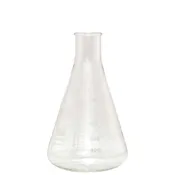 1000 ml Erlenmeyer Flask