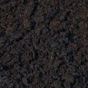 Organic Mountain Compost (BULK) ~ 1 cubic yard