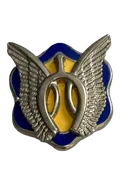 17th Calvary Regiment Unit Crest Pin