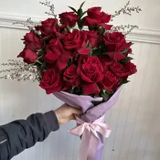 Bundle of 24