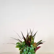 Petite Garden