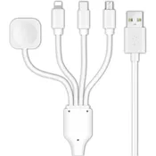 4-in-1 Charging Cable