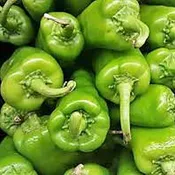 Anaheim Pepper