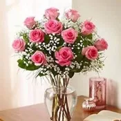 12 Roses Pink Rose Elegance Premium