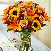 Warm wishes