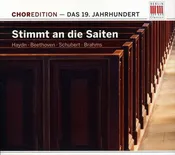 19Th Century: Stimmt An Die - Stimmt An Die Salten: Music 19th Century / Various (CD)