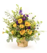 Sweetman’s Sunflowers — My Fair Lady's Flowers
