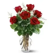Half Dozen (6) Red Roses