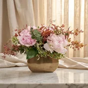 Blush Dream