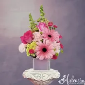 Pink Lemonade