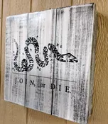 Liberty Home Concealment "JOIN OR DIE" GUN CONCEALMENT WALL ART BOX