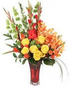 TAWNY ORCHID VISION