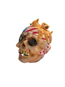 Pirate Paint Head