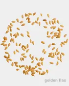 Organic Golden Flax Seeds