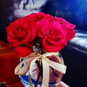 Small Red Roses by the Dozen (no greens)