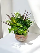 Houseplant Garden Basket