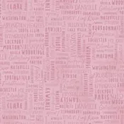 2022 Shop Hop Illinois - Pink Words
