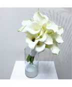 20 MINI CALLA LILY