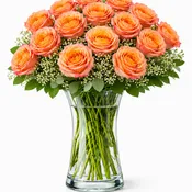 2 Dozen Free Spirit Roses