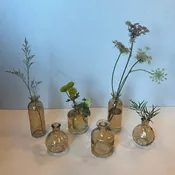 Amber Glass Rental Budvases — Milestones