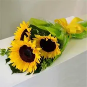 love sunflowers