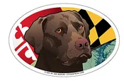 Maryland Chocolate Lab Oval Magnet, 6x4