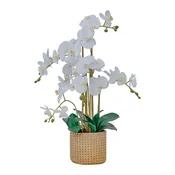 29" White Orchid Arrangement in a Tan Ceramic Planter | Real Touch White Moth Phalaenopsis Orchids by Fiori Sempre
