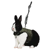 Comfort Harness and Stretchy Leash for Small Animals