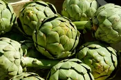 Green Globe Artichoke