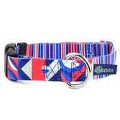 2 Hounds Design EarthStyle Rocky Dog Collar