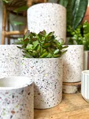 Terrazzo Cylinder Pot