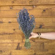 English Lavender — Charles Little and Company LLC